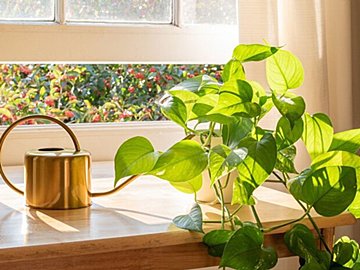 【専門家が回答】歯やわきが・いぼ治療など人には相談しにくいアレコレを解決！