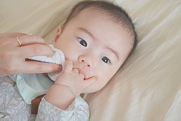 明莉の母様専用ページ Www Michelemancuso Com