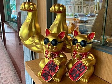 黄金色に輝く台湾のマッチョな招き猫に「すごい招きそう」「強そう」のコメント集まる