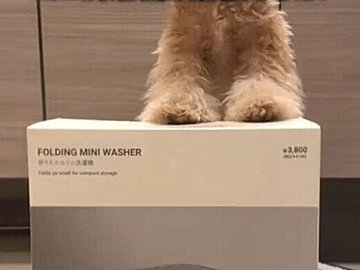 そんなものまで売ってるの!?【3COINS】「買い確定！」「部屋干し地獄を解決」コスパ最強家電2選