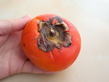 【旬食材】熟しすぎた柿もおいしく食べられる！救済スイーツレシピ2選