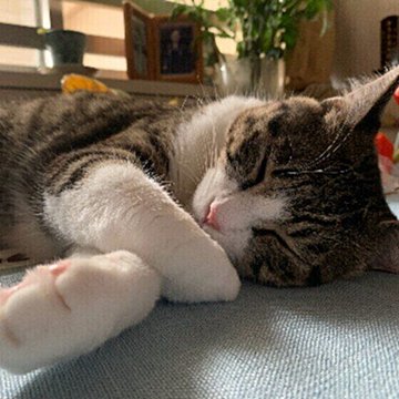 G3bcqlp8o6vfam G3bcqlp8o6vfam