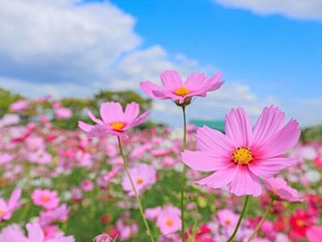 今年の秋に行きたい！「運気」が上がるパワースポットって？ 【Dr.コパの風水解説】