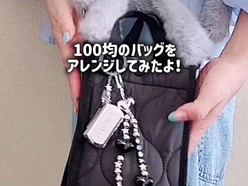 試して欲しいバッグアイデア！【ダイソー】「使い方が画期的」「ペンライトがすっぽり」おすすめバッグ2選