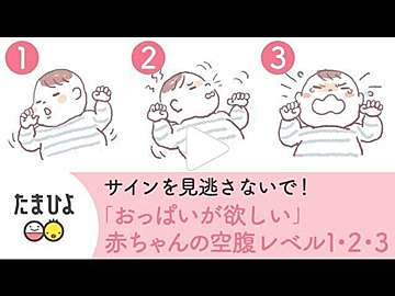 胎児にはしっぽがある 人間の進化と胎児の神秘 たまひよ