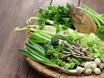 春に山菜を食べるのは「合理的」だった！旬の味覚で体を内側から動かそう：野菜ソムリエ解説