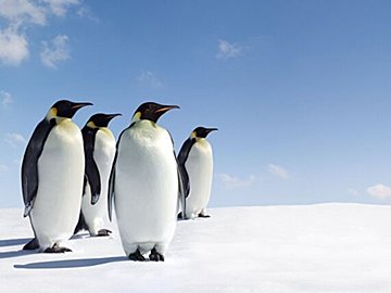 意図してないのにコーデがそっくり!?ペンギンのパネルと一緒に撮影した1歳娘がかわいすぎる