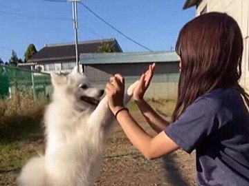 二人とも一生幸せでいてほしい！「親友」な飼い主さんと愛犬のかけがえのない日々に10万件のいいね