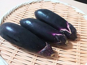 あなたも間違えてるかも!?やってはいけないナスの保存方法