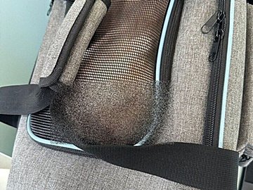 病院に連れて行かれたにゃんこが激おこ!!あまりの怒りっぷりと鋭い目つきに、8.4万人の笑いが止まらない！