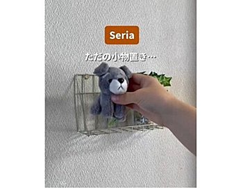 アイデア光る！【セリア】「ただの小物置きじゃもったいない」「家事の時短にもつながる」便利グッズ3選