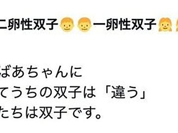 公園で「双子？」と聞かれるも、ナゼか「違う」と答えた正真正銘の双子！2歳児ならではのかわいすぎるその理由とは!?