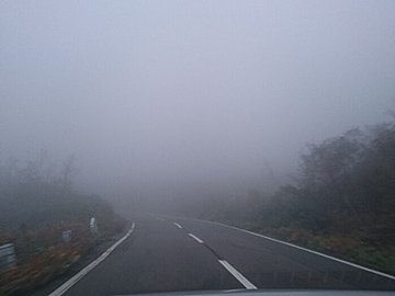 霧と雲は何が違うの？霧が出る日は何に注意すればいい？？気象予報士が解説