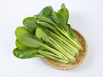 じつは避けたほうがいいかも？野菜のプロが教える小松菜のもったいない食べかた