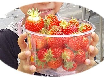 【いちご】は時期によって味わいが変わるって知ってた？時期別の変化とおいしい選び方のポイントをご紹介！