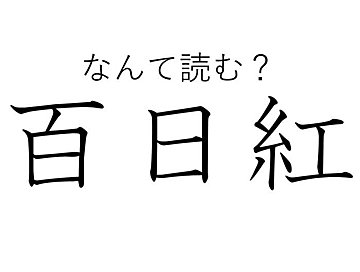 【知っていると自慢できる!?】難読漢字クイズ「百日紅」はなんて読む？