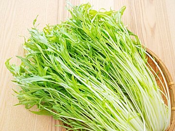 水菜は葉が溶ける前に即冷凍して！簡単な冷凍方法と活用のコツを野菜ソムリエが解説