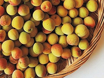 【一生ものにしてほしいレシピを大公開】きほんの梅酒のつくり方と「梅しごと」Q&A