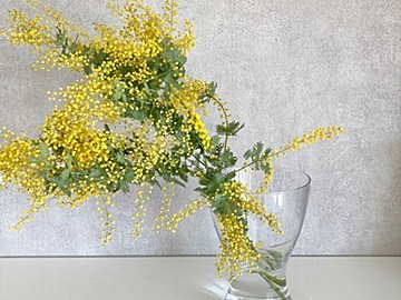 【もうダランってならない】5秒あればできる！家にあるもので枝ものをまっすぐ立てる方法