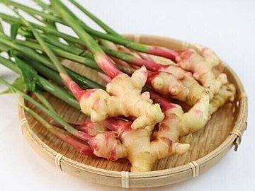 生姜の効果は使い方でここまで違う！「生・加熱・パウダー」知らなきゃ損な正しい使い分け