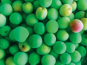 最小限の手間と道具で最大限美味しく作れる一生ものの「梅シロップ」レシピ