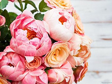 最強に効果が出るシートマスクの使い方・選び方