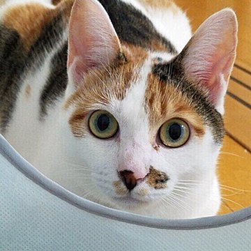 G3bcqlp8o6vfam G3bcqlp8o6vfam