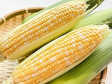 じつは避けたほうがいいかも？野菜のプロが教えるとうもろこしの「もったいない」食べかた