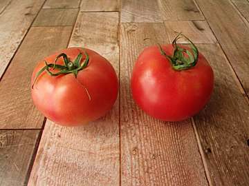 夏の旬野菜トマト×調味料1つでさっぱり美味しい「トマトのすし酢漬け」