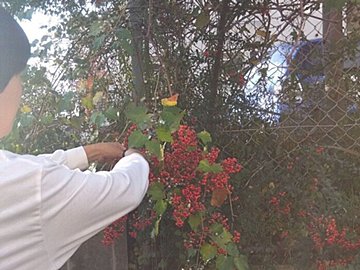 【海保式節約】何かの出費が増えたら、何かの出費を減らせないか探してみる