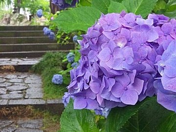梅雨は掃除に不適と思っていない？じつは梅雨に掃除すべき場所を気象予報士が解説