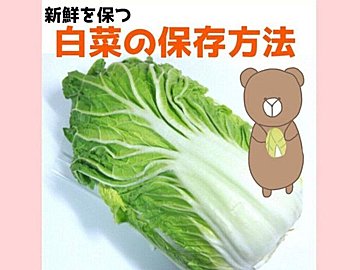 野菜のプロが教える、新鮮を保つ【旬食材】白菜の保存方法