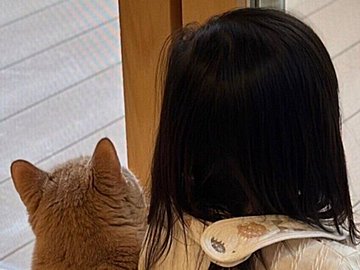 横に並んで窓の外を見つめる2歳娘と愛猫。ぴったりくっつく後ろ姿がかわいすぎてたまらない！