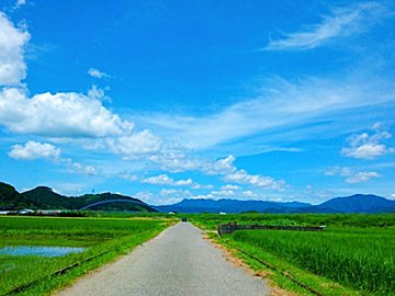 【カルディ】懐かしさ満載！味で昔を思い出す昭和風のアイス3選