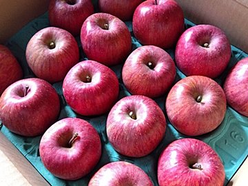 【貯め活中の手土産リスト】わたしも相手も｢ちょっとうれしい｣が選ぶコツ