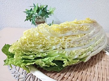 やらなきゃもったいない！白菜×酸味×旨味ですぐ完成する「秋冬副菜」を野菜ソムリエが解説