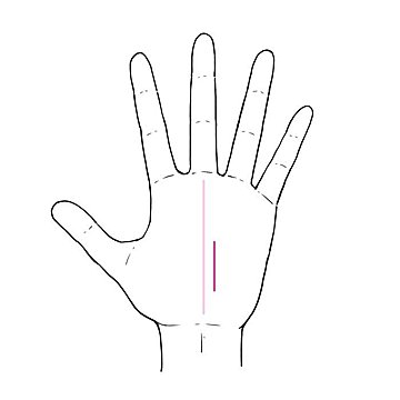 3秒でわかる手相術！今年「人生を変えるような出会い」が訪れるサイン3選