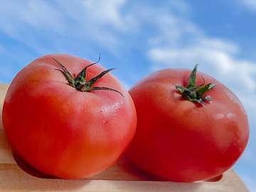 買ってきたトマトが硬かった！そんな時でも「ちょっとした工夫」でおいしく変身できるって知ってた？