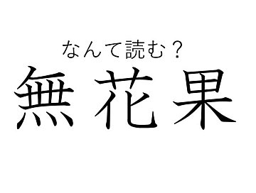 知っていると自慢できる 難読漢字クイズ 鰐梨 はなんて読む サンキュ 知っていると自慢できる 難読漢字クイズ 鰐梨 はなんて読む サンキュ