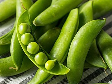 【旬食材】端から端まで確認して！おいしいスナップエンドウの見分け方は？野菜ソムリエ解説