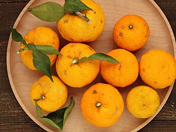 柑橘類の美味しい食べ方２選！　無駄なく丸ごと使えるレシピ　