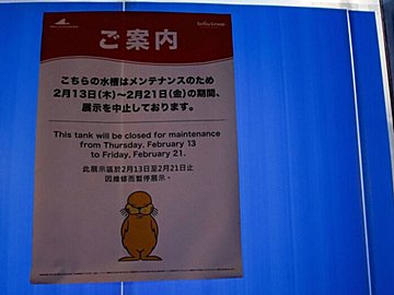 「何の水槽？」答え合わせはシルエットで。目隠しされた水槽に現れた影がかわいすぎて16万いいね