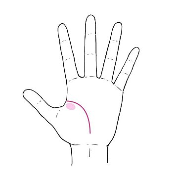 3秒でわかる手相術！人生の逆境、あなたは乗り越えられるタイプ？ダメになるタイプ？