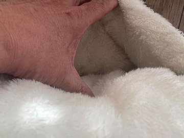 【ダイソー】店頭在庫のみの商品も！見つけたら即ゲット推奨、冬のお役立ちグッズは330円でも絶対買い！