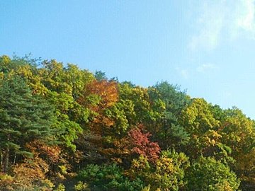 「小春日和」はじつは要注意な天気!?なぜ春には小春って言わないの？気象予報士が解説