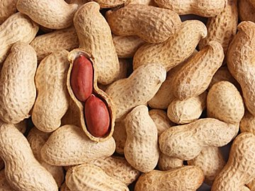 「落花生」を食べすぎるとどうなる？知っておきたい落花生のメリット＆デメリット