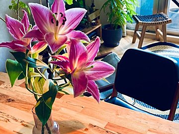 【ルームスタイリストが推す】不調は解消できる！「模様替え」の最適なタイミング・３選