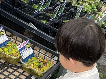 ママと買い物中、商品は「触らないで見ようね」と約束した2歳息子。一生懸命触らないように両手を隠す様子に「尊すぎて泣ける」「健気で愛おしい」と23万人が感動