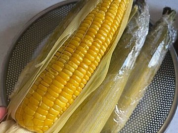 【ライフハック】目からうろこ！これは時短、簡単！お湯も塩もいらないとうもろこしの食べ方