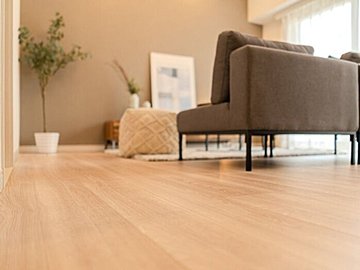 来年の春に出遭わないために…秋のゴキブリ対策がモノを言う！